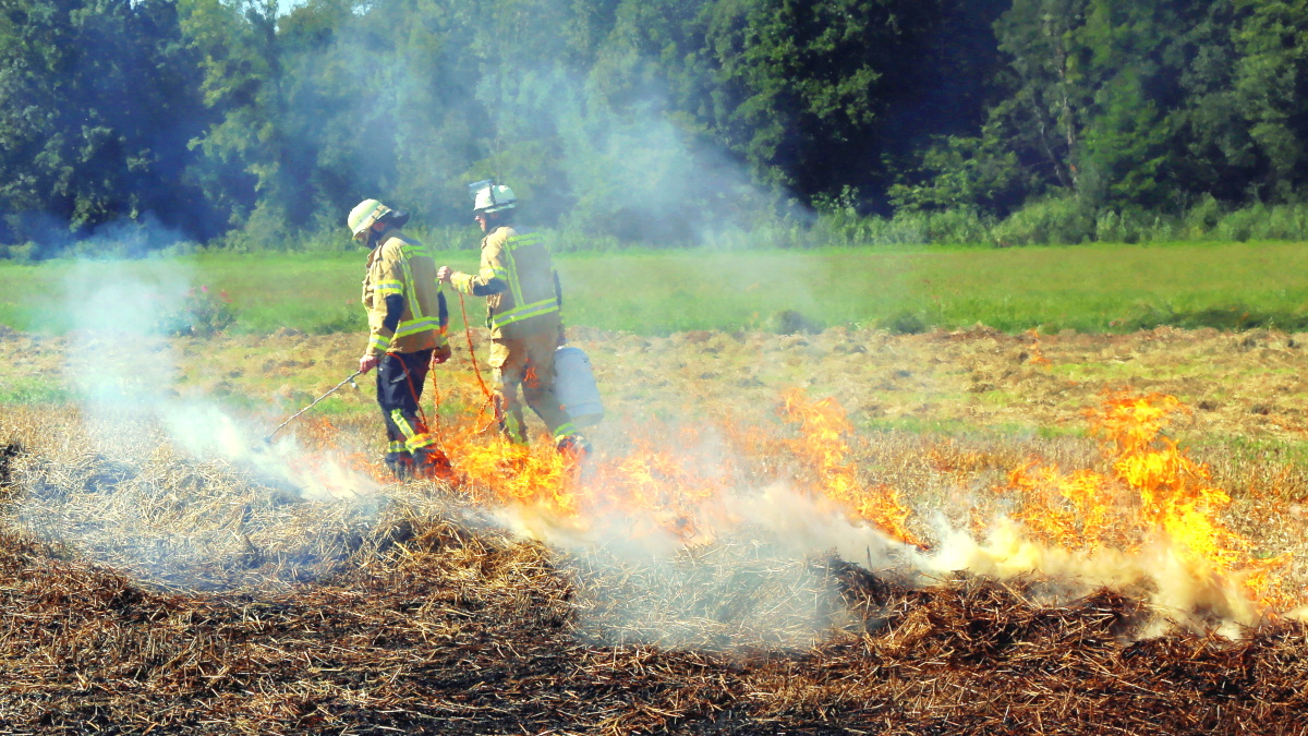 Leider haben wir keine weiteren Informationen zu diesem Link. Wir arbeiten daran und bitten um Ihr Verständnis.
