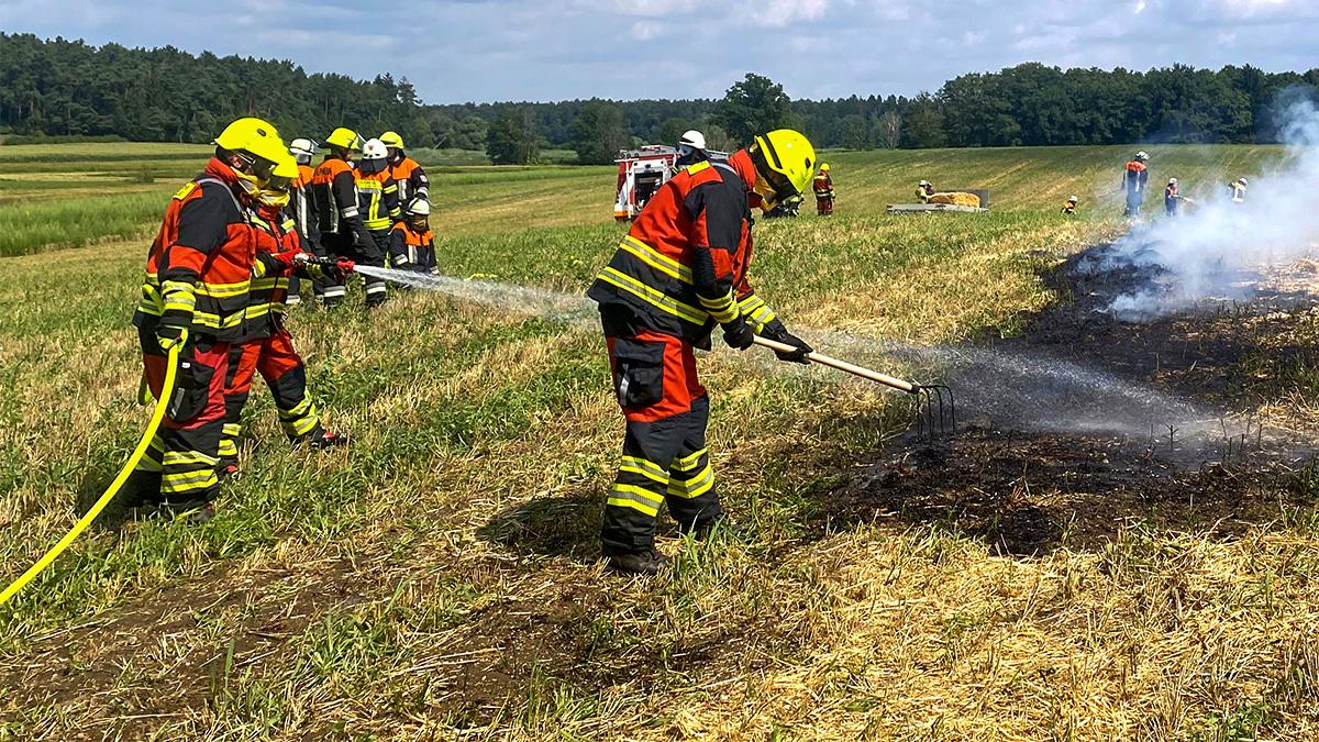 Bild 14